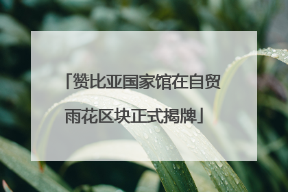 赞比亚国家馆在自贸雨花区块正式揭牌